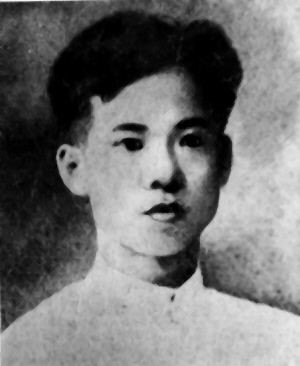 琼崖人民武装斗争杰出领导者――杨善集