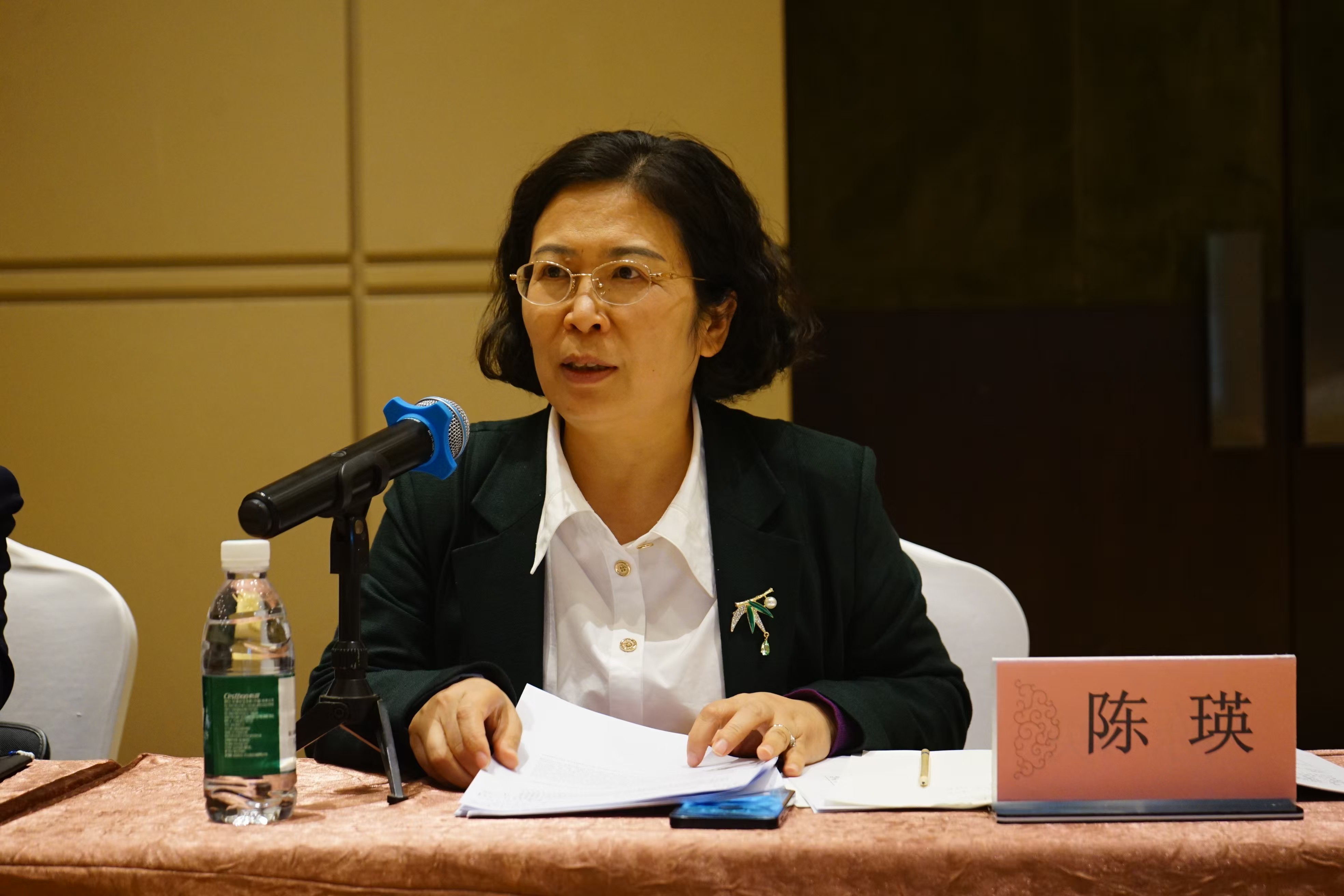 首届国际传播与国际舆论研究论文工作坊分论坛（七）