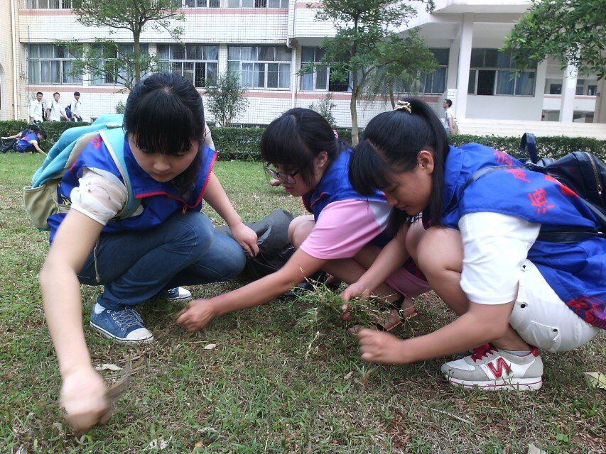 志愿除草，尽显“三爱三节”
