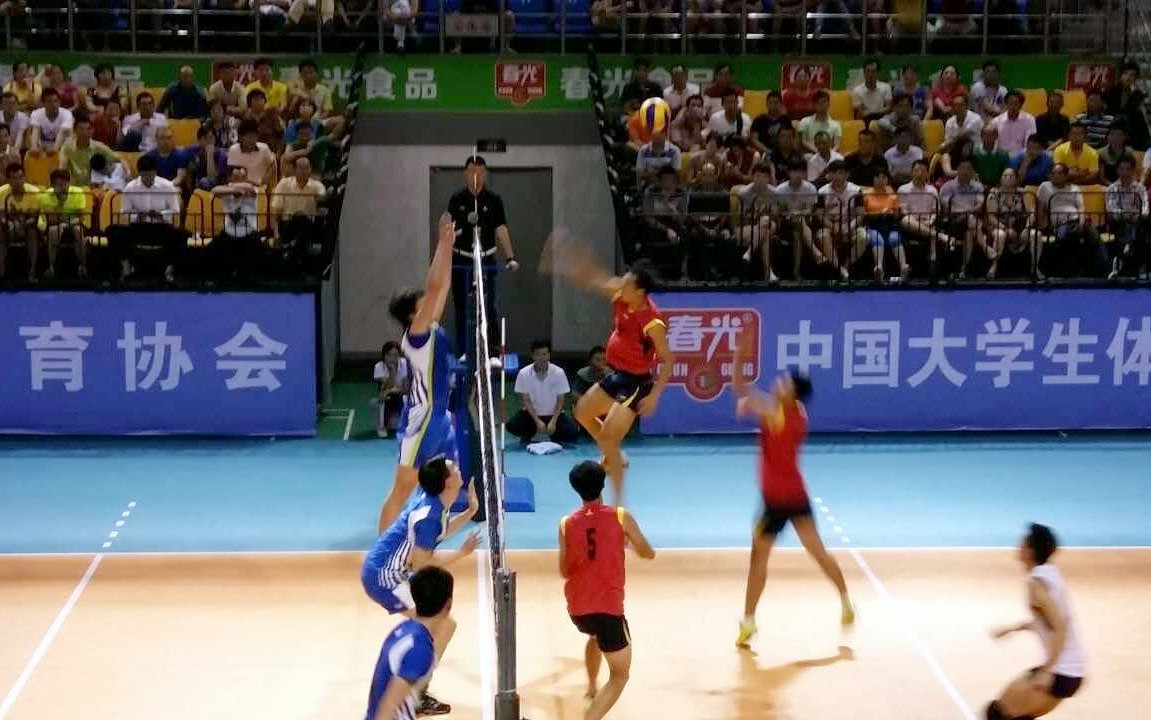 马杰获2016海南国际艺术双年展艺术贡献奖金奖