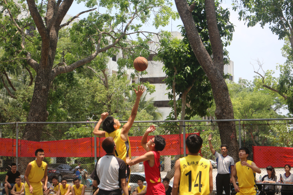 激情校园“NBA”——记物电学院“欢送杯”篮球赛