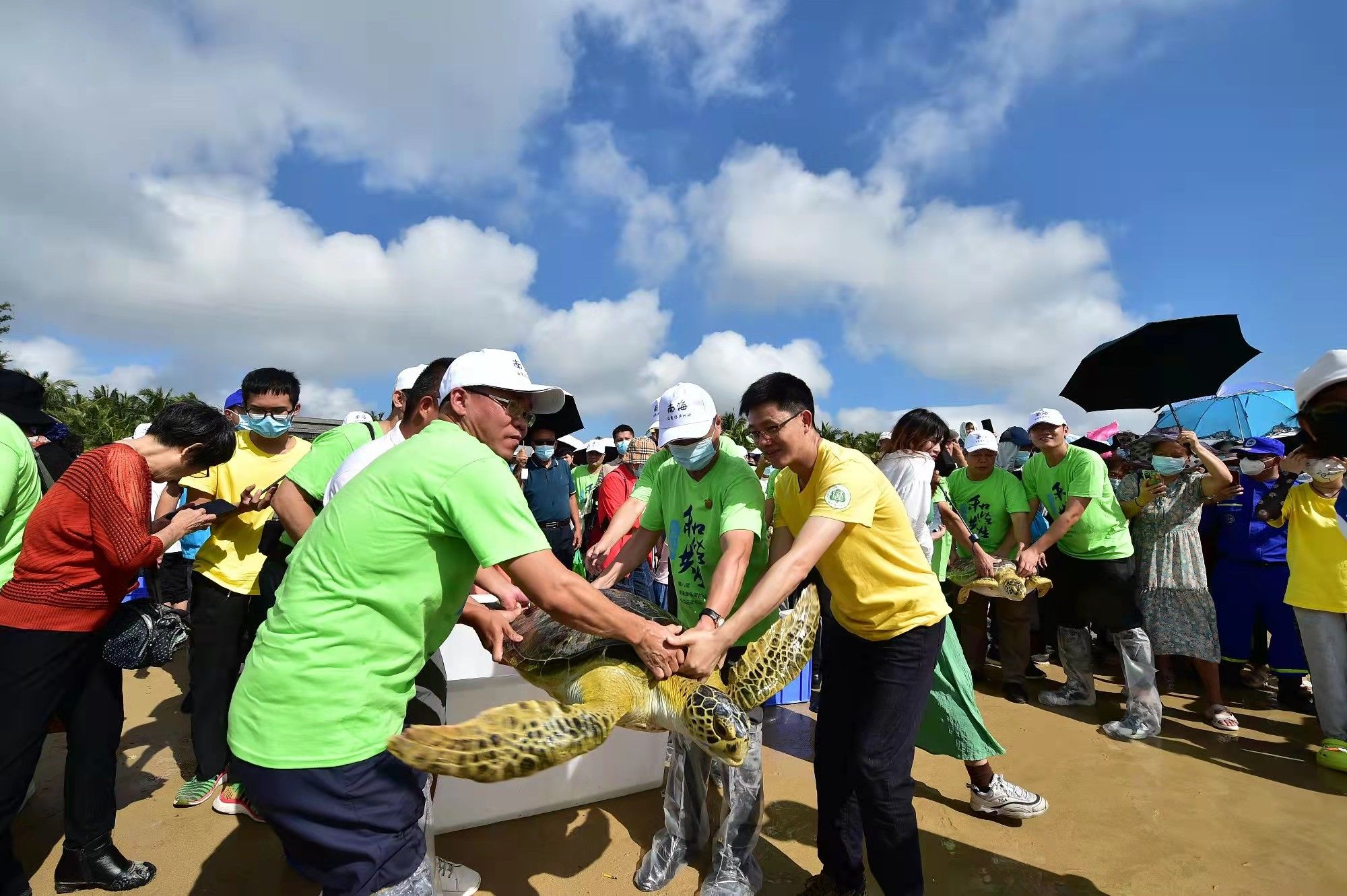 我校海龟救助站6只康复海龟顺利“回家”