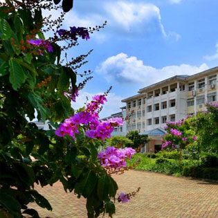 杨本科：乡村，不止有节节攀高的彩礼和凋敝的教育