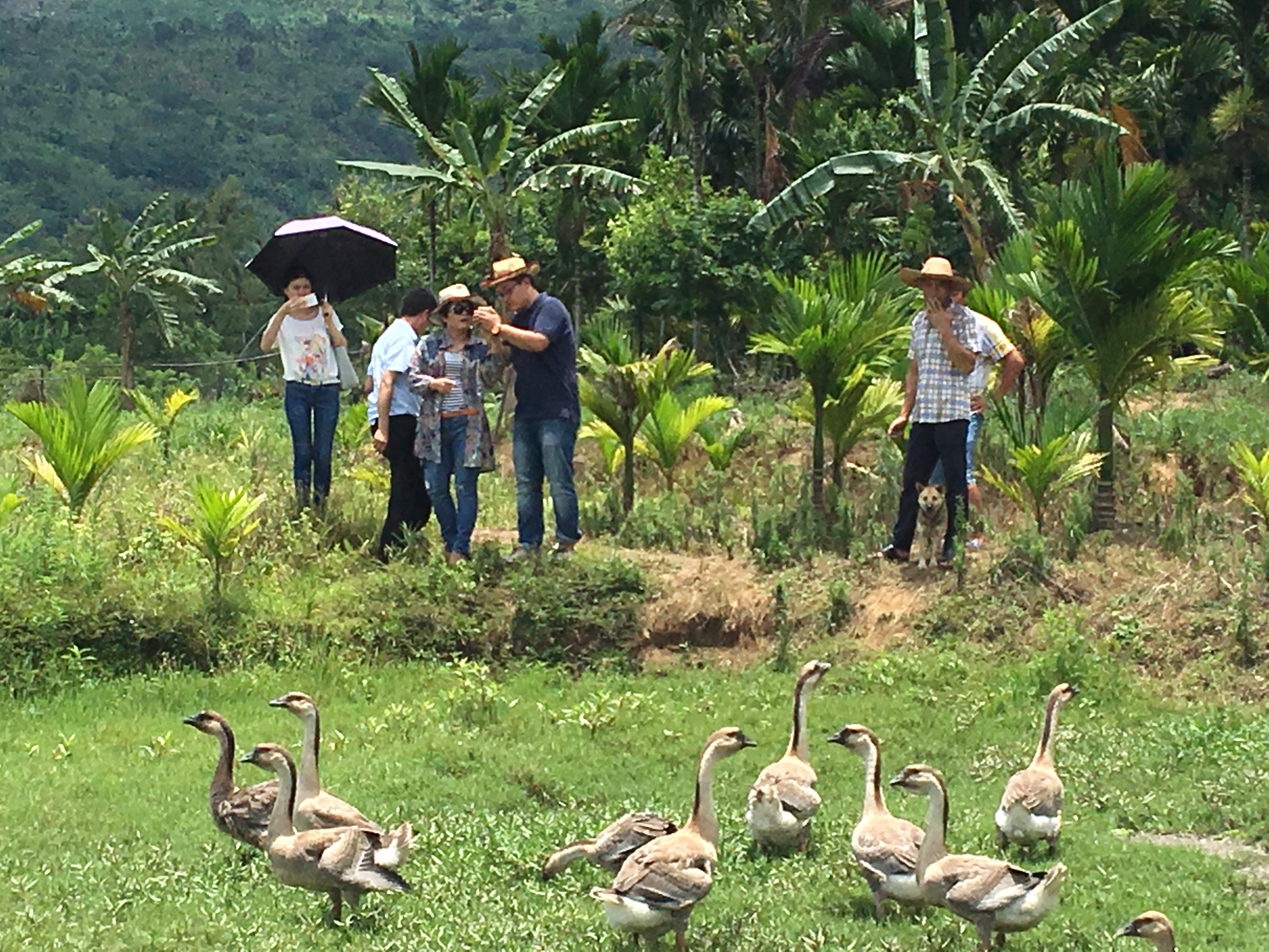 【扶贫专题】化院在行动