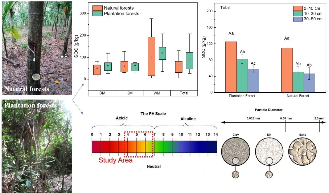 【成果推介】赵志忠教授团队在热带雨林土壤有机碳研究领域取得最新研究成果
