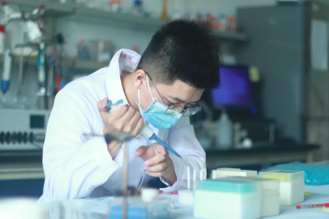 大写的服，考研单科竟然满分