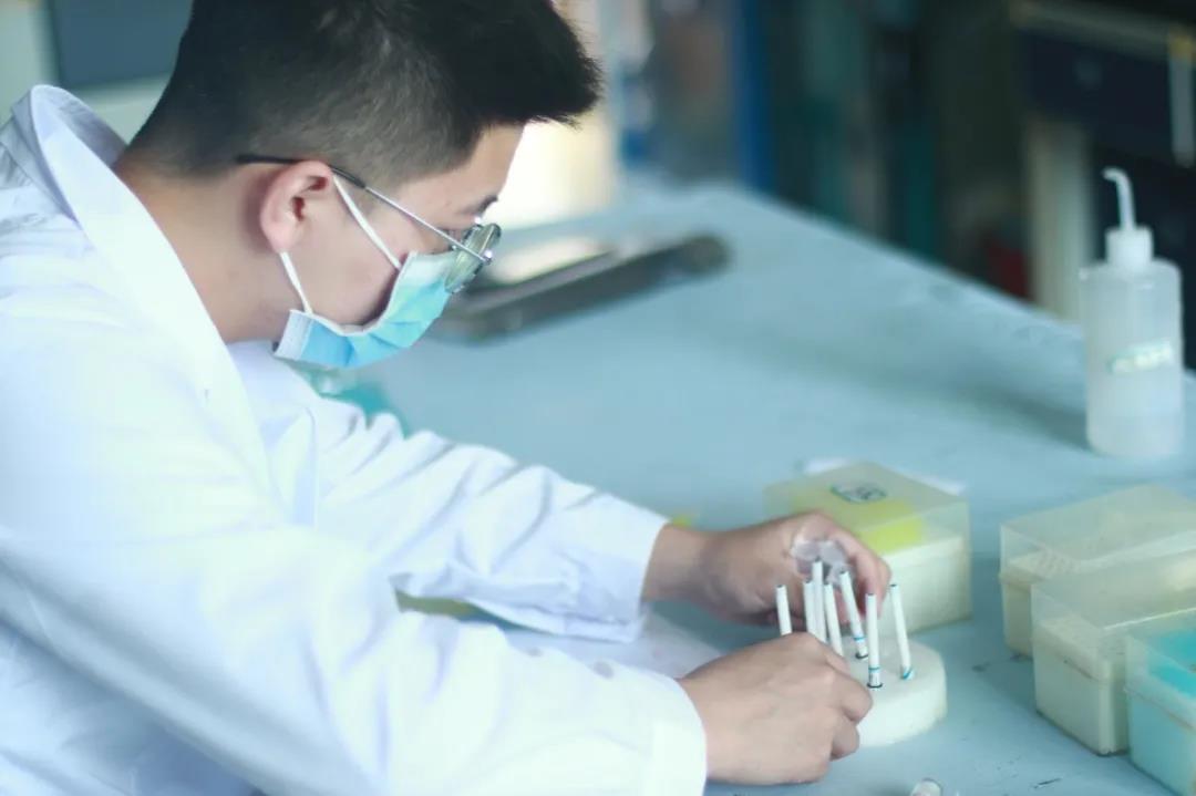 大写的服，考研单科竟然满分