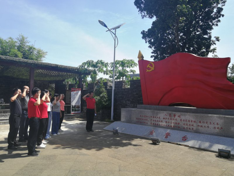 化学与化工学院第一党支部开展重温一次入党誓词党日活动