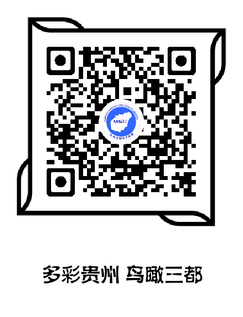 新传学子斩获“走进贵州三都县民俗大采风微视频大赛”两项大奖