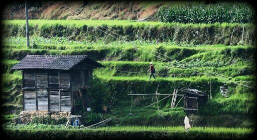 新传学子斩获“走进贵州三都县民俗大采风微视频大赛”两项大奖