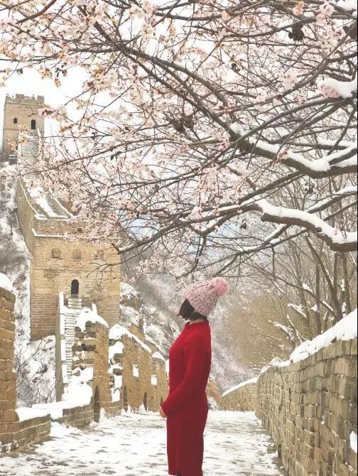 校友美文（第五篇）四月你好，大雪纷飞终于等到望京楼云海！