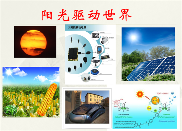 孙振范院长为我院学生作学术报告