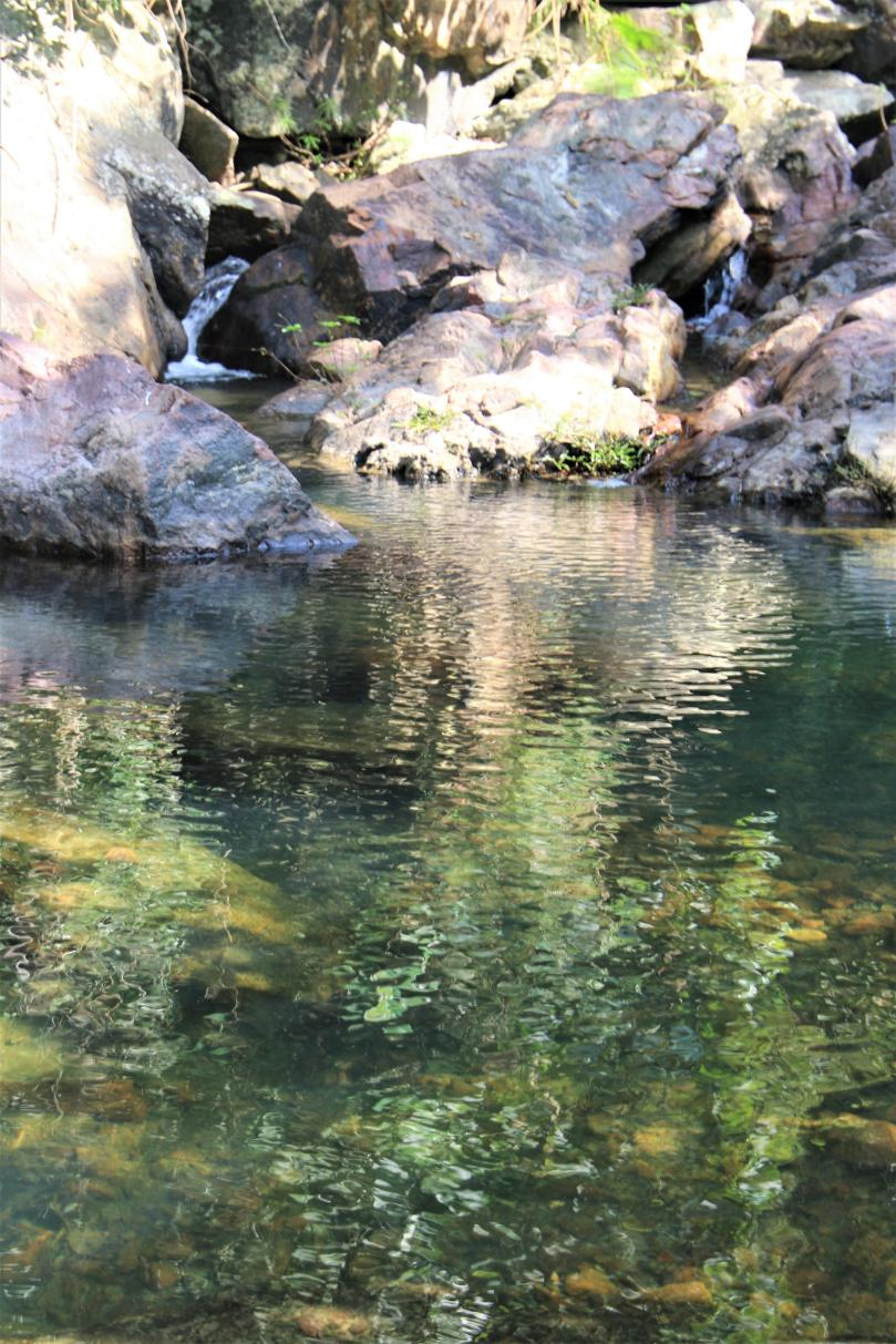 重温母瑞山革命根据地奋斗精神