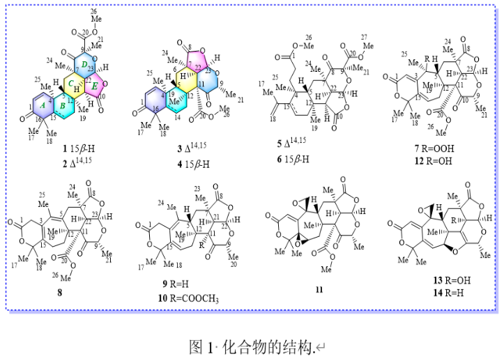 【成果推介】化学与化工学院陈光英教授团队在红榄李内生真菌活性代谢产物方面取得最新
