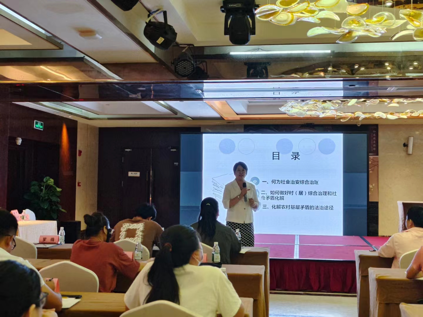 张霞教授应邀为2024年三亚市崖州区村（社区）工作者能力素质提升培训班授课