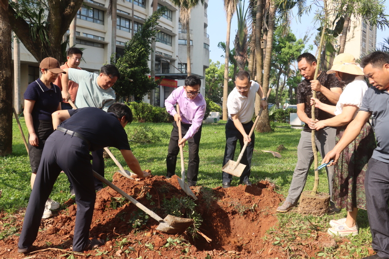 校友捐赠11棵台湾相思树重建相思园