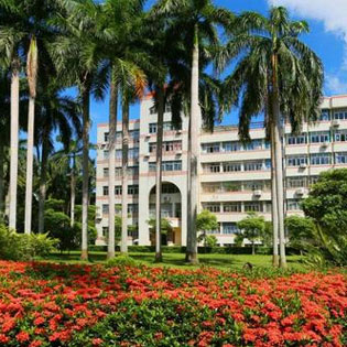 杨碧薇诗选（一）