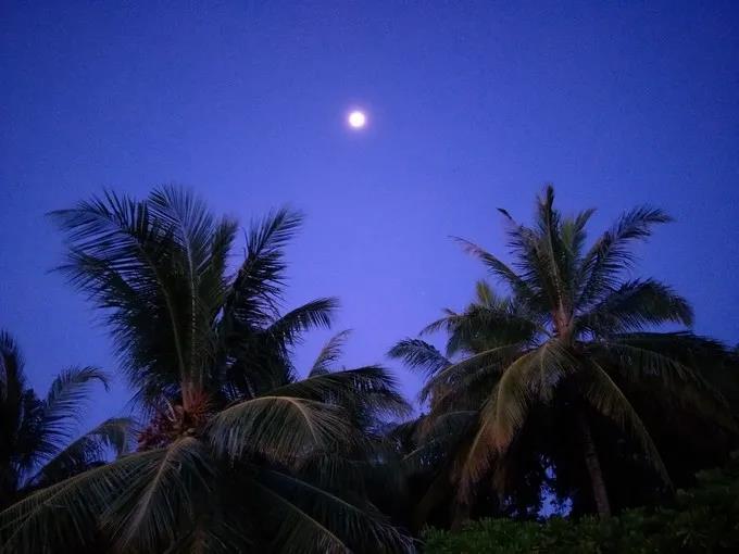 大学就要找点“正事”做做