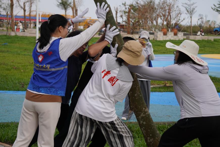 法学院开展“清理校园--扶树清扫”专项活动