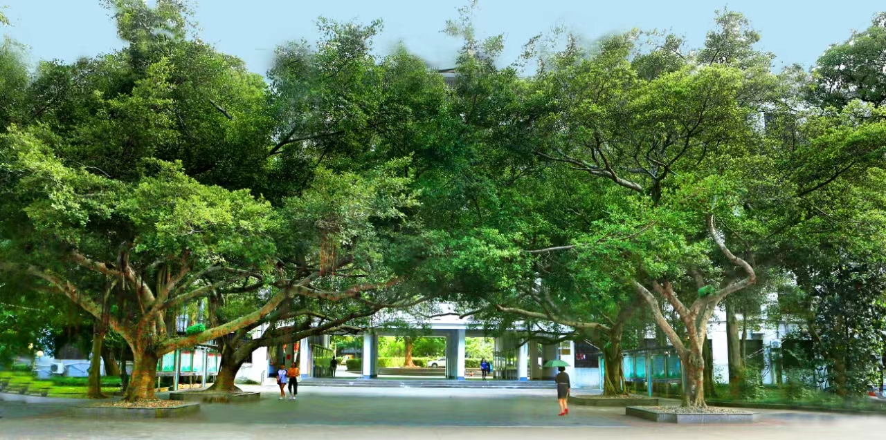 你知道海南师范大学 榕树精神的由来、内涵吗？