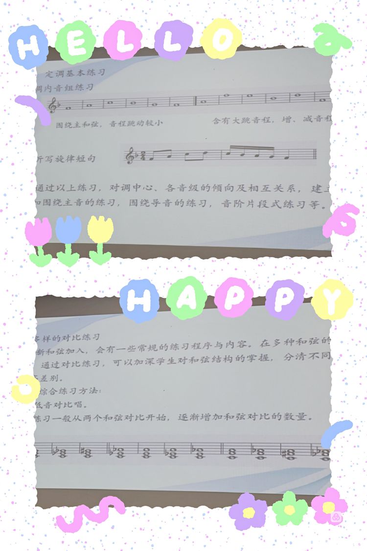 “牵手帮扶，美育同行”――“海南省教育厅椰苗行动计划”海南师范大学项目组白沙研修