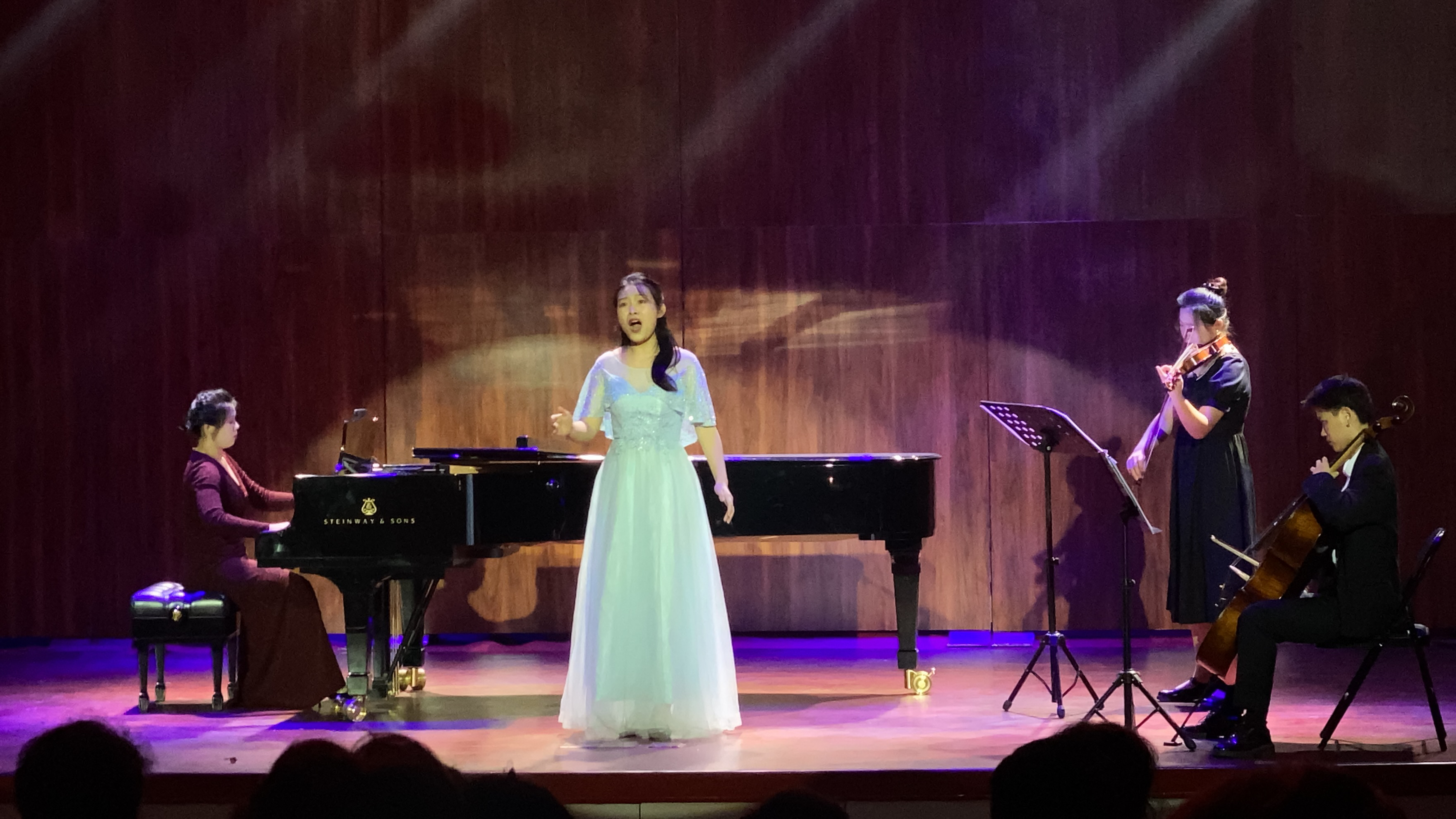 课程思政：在音乐表演艺术中涵养学生的“家国情怀”