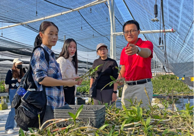 海师新闻传播与影视学院开展“自贸港巡礼”主题采访采风活动——走进东方乐妹村