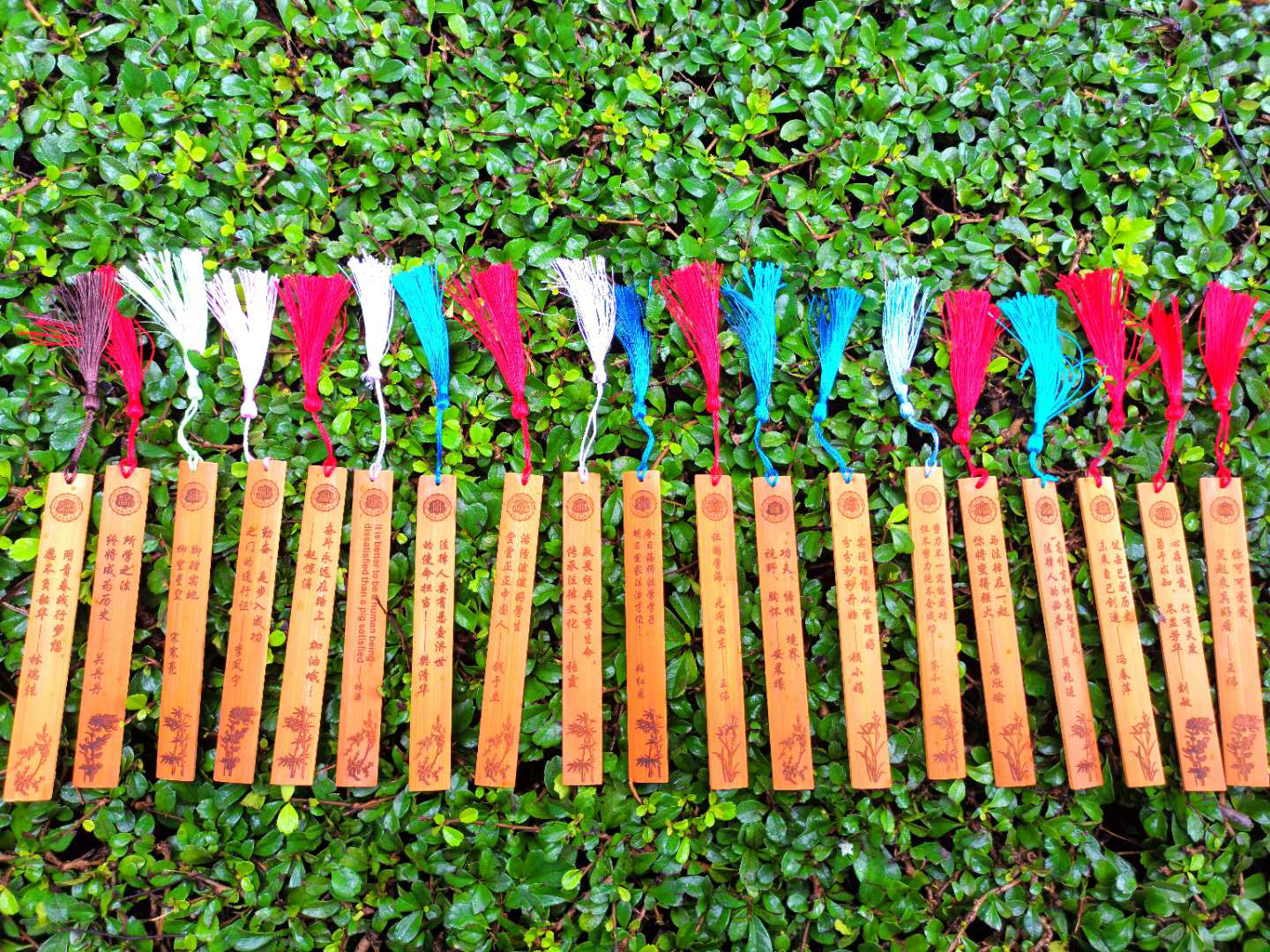 来一场温暖的相遇——记法学院迎新工作圆满结束