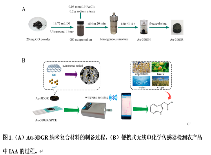 【成果推介】我院孙伟教授团队开发无线智能电化学传感检测植物激素吲哚3乙酸新方法