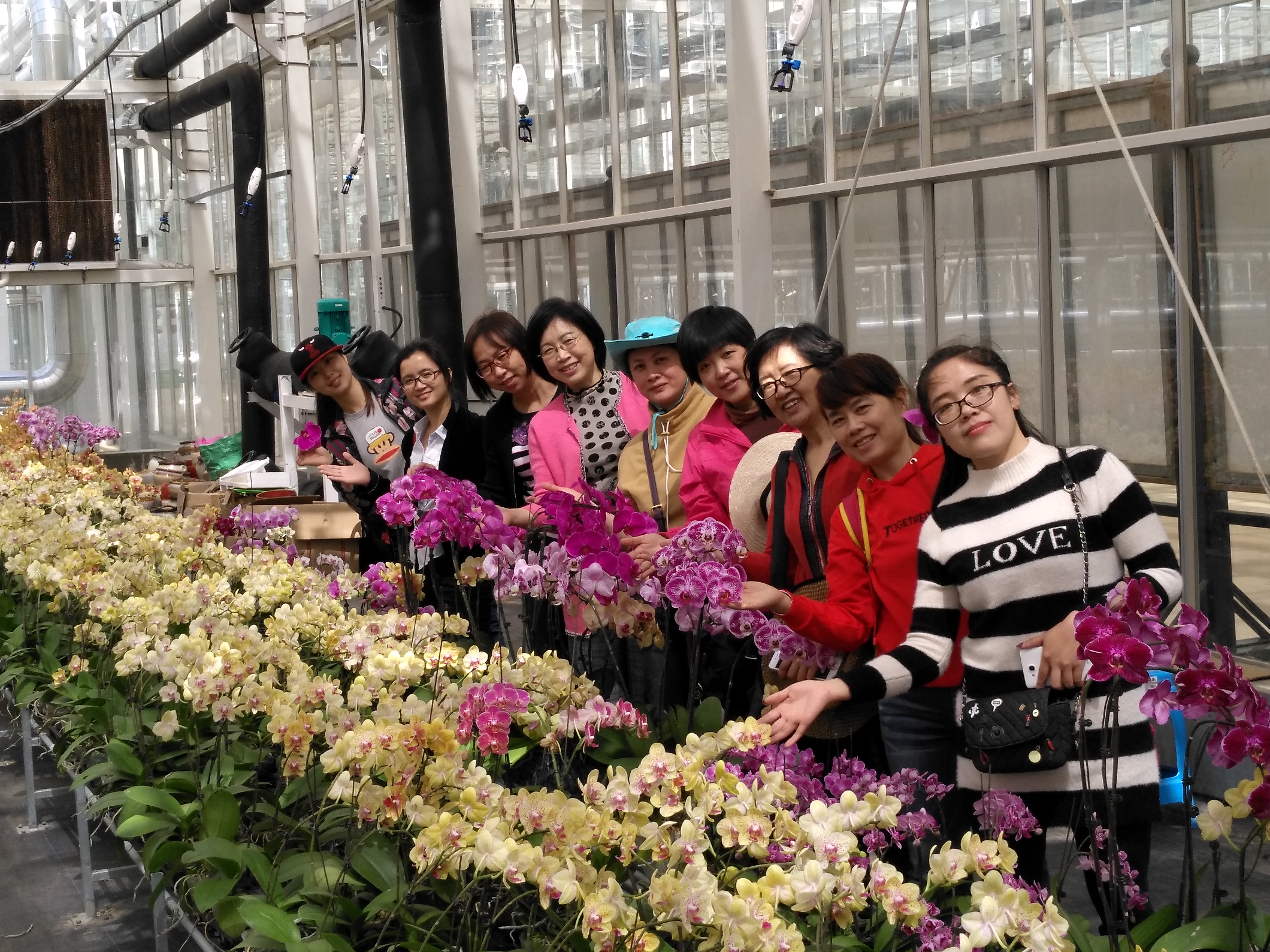 化学与化工学院举行“三八”妇女节徒步活动