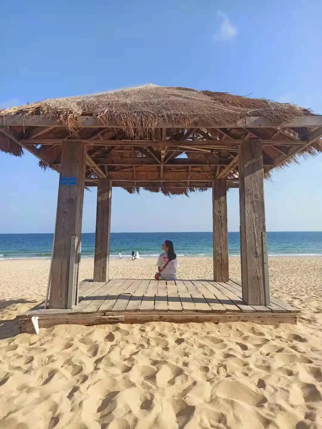 一位爱看海贼王的数学女孩