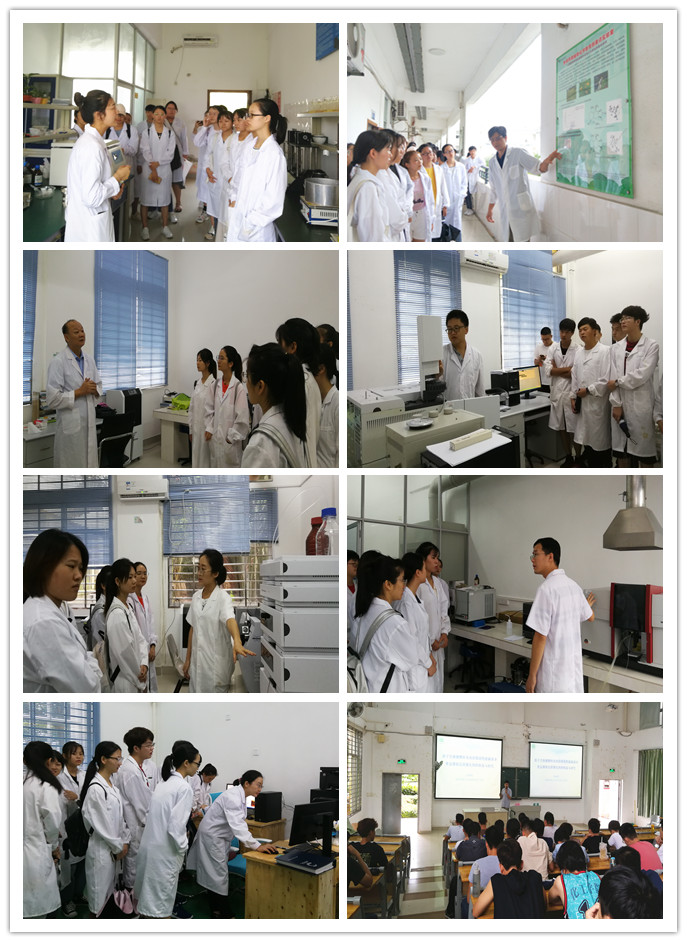 化学与化工学院2018-2019学年第二学期创新创业实践周之应用化学系专题活动