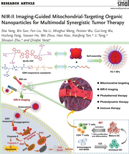 唐立博士合作研究成果在《Small》和《Chemical Engineering Journal》上发表