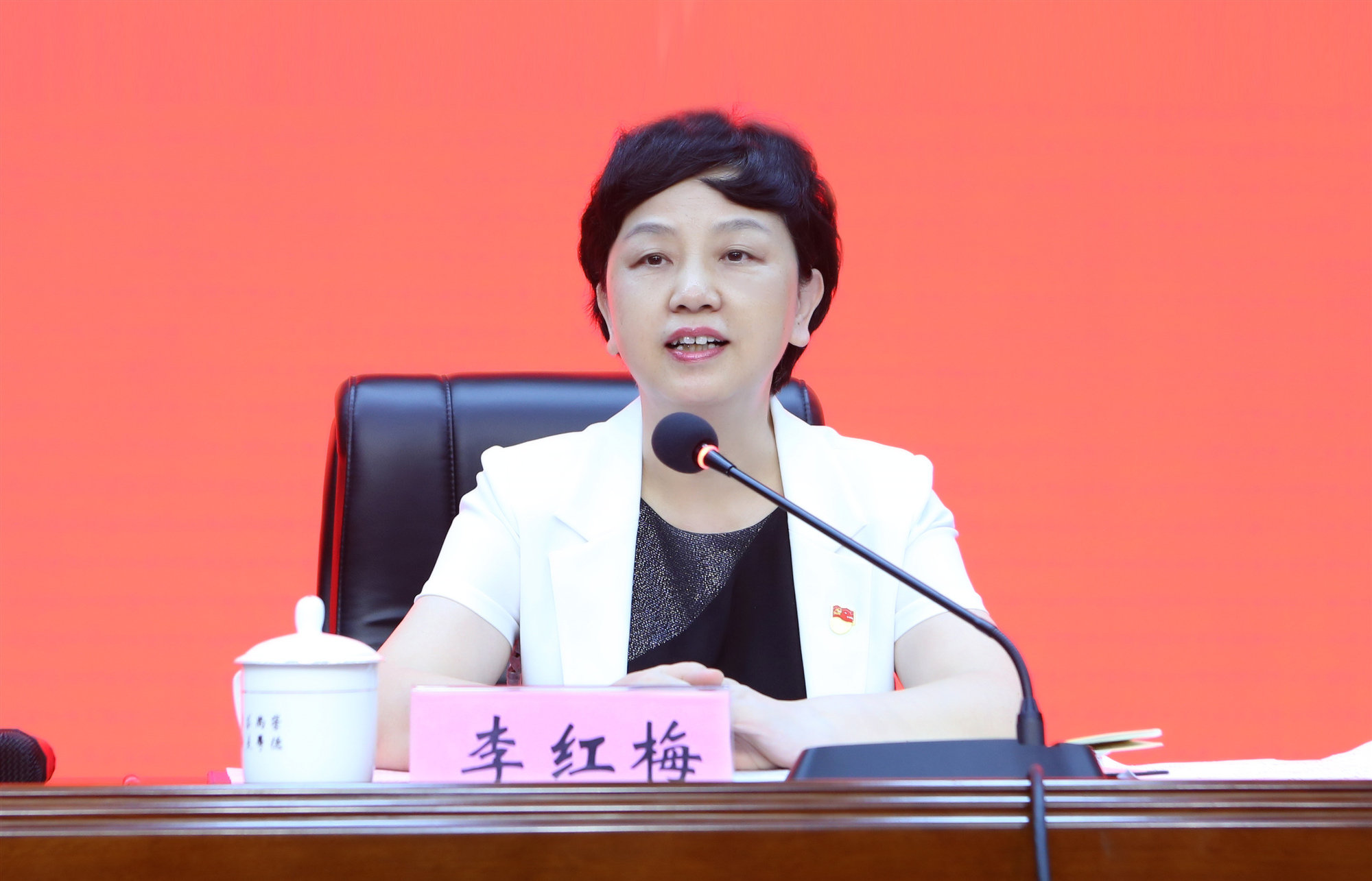 李红梅强调:弘扬革命传统,牢记初心使命,扛起教育担当